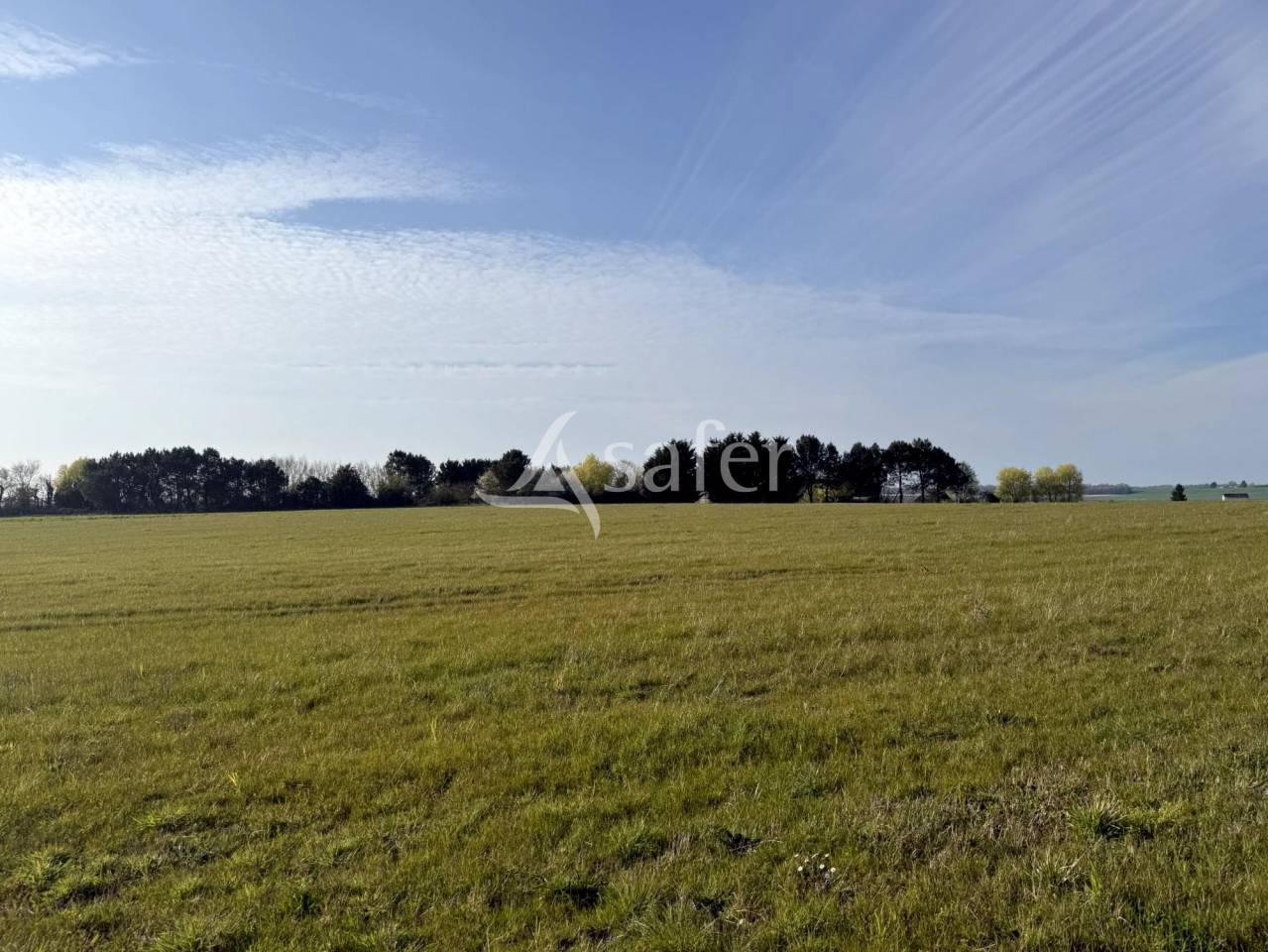 Propriet&agrave; equestre In vendita Indre-et-Loire
