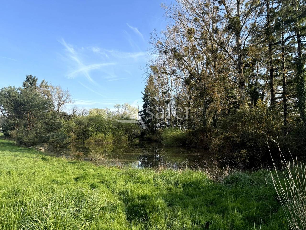 Propriet&agrave; equestre In vendita Indre-et-Loire