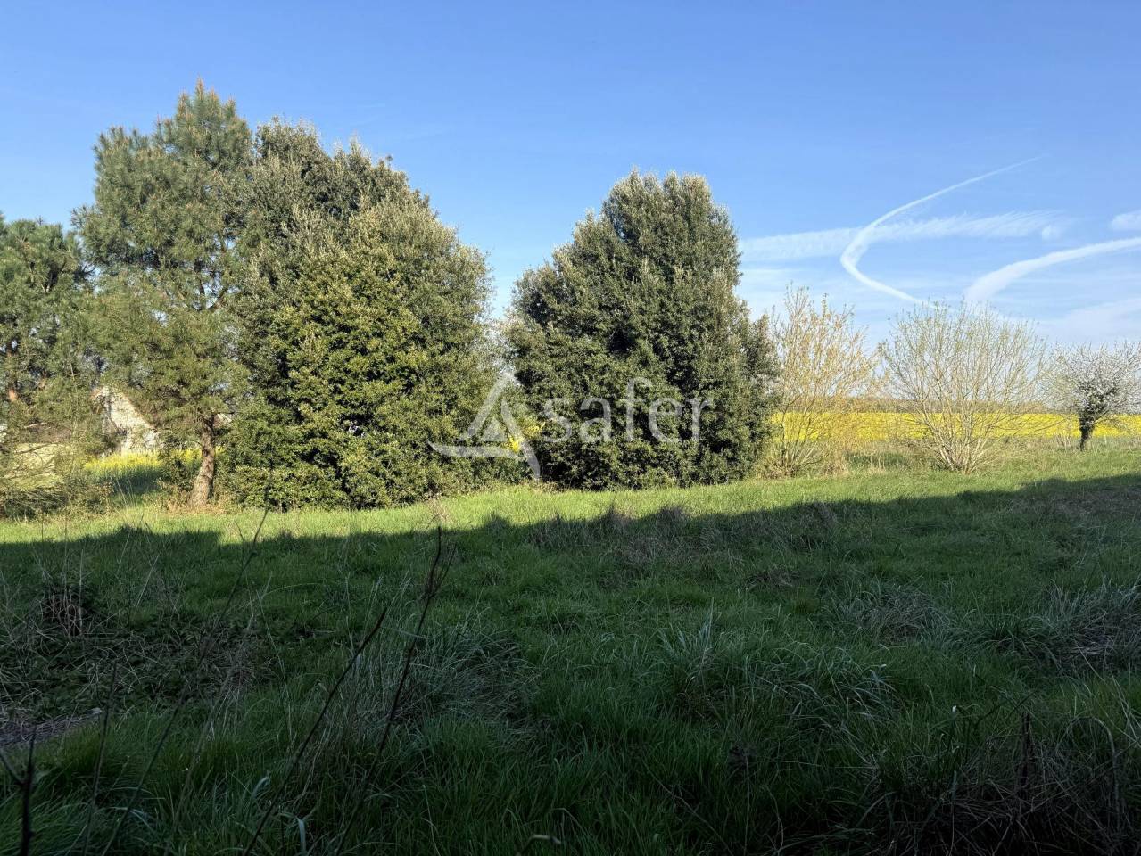 Propriet&agrave; equestre In vendita Indre-et-Loire