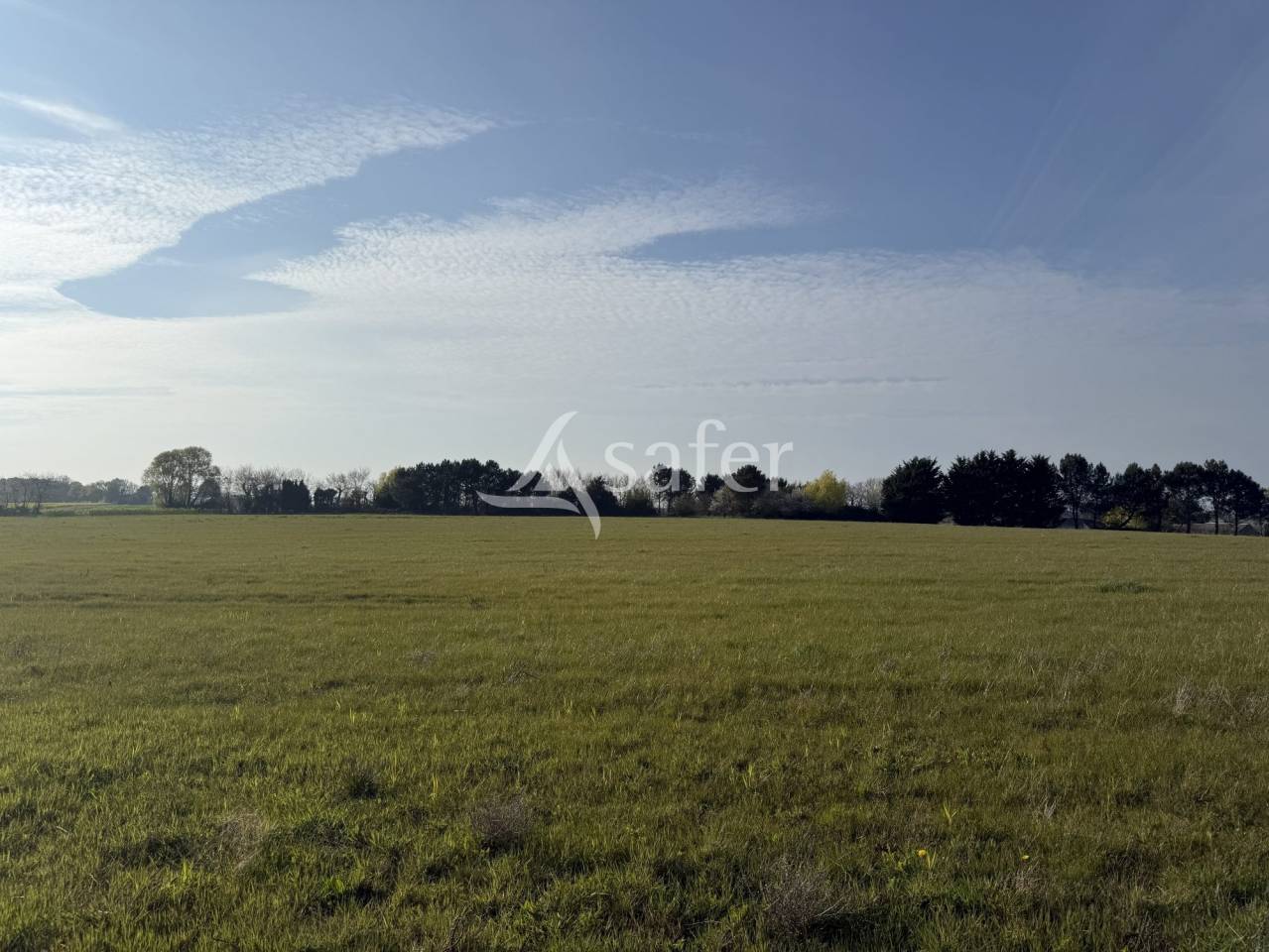 Propriet&agrave; equestre In vendita Indre-et-Loire