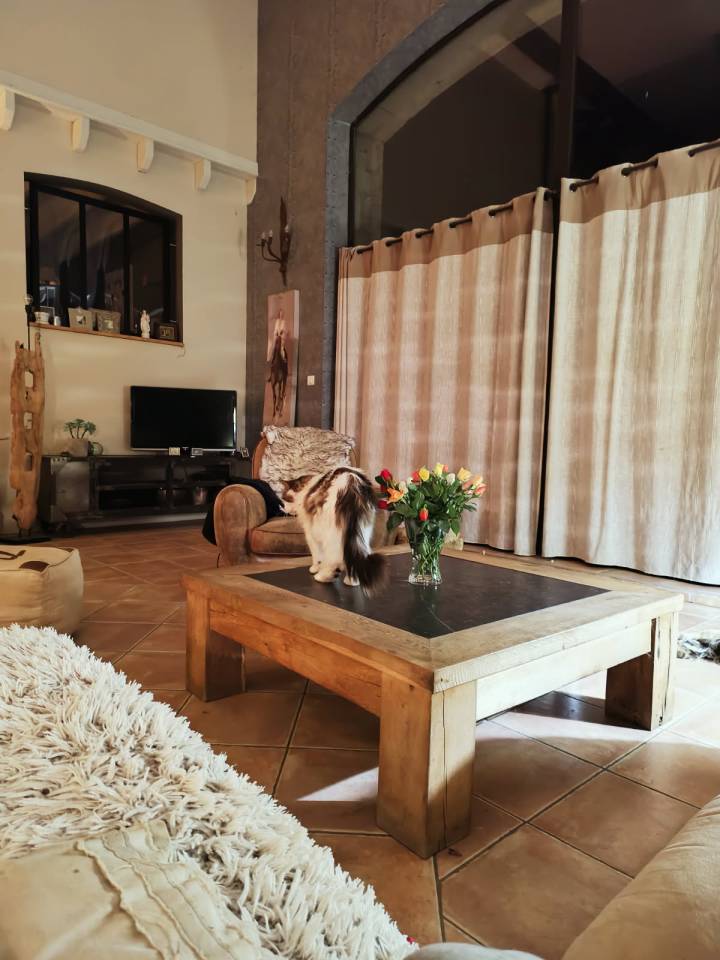 Bella dimora equestre In vendita Deux-S&egrave;vres