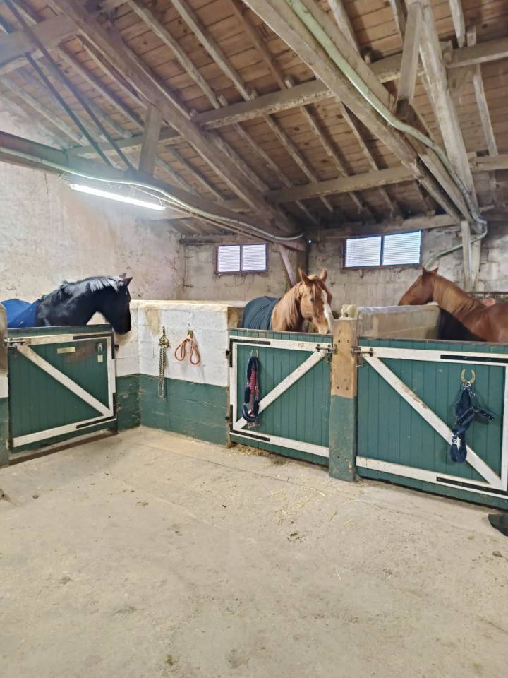 Bella dimora equestre In vendita Deux-S&egrave;vres