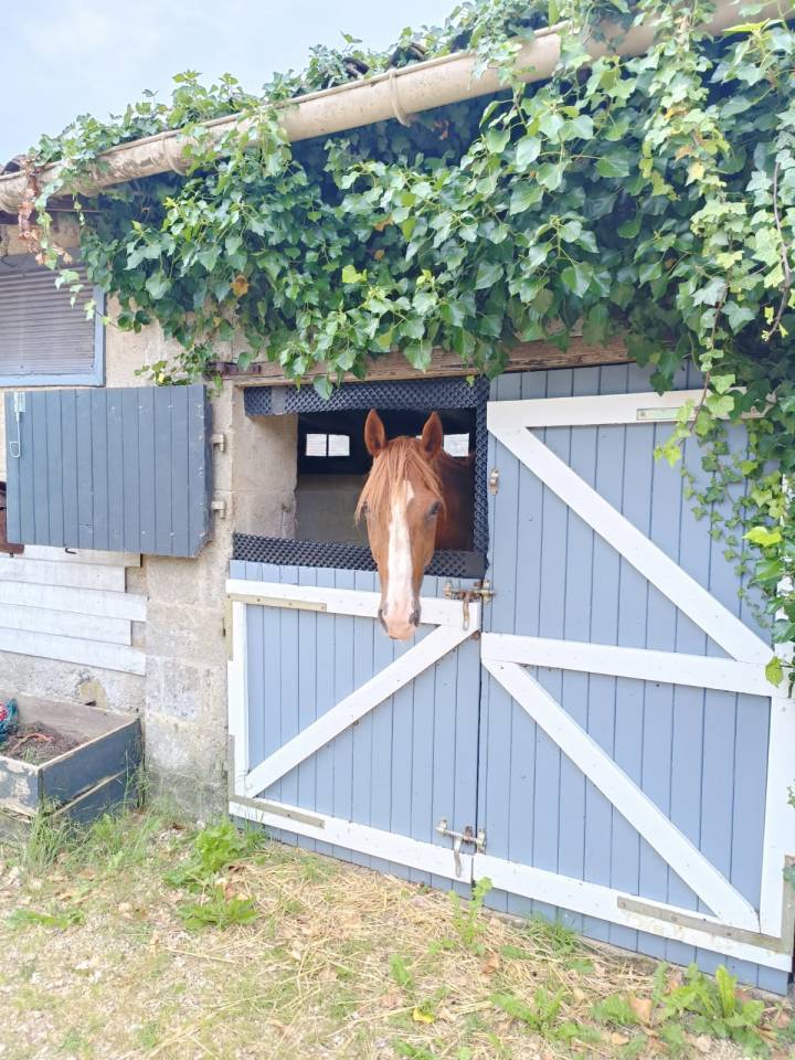 Bella dimora equestre In vendita Deux-S&egrave;vres