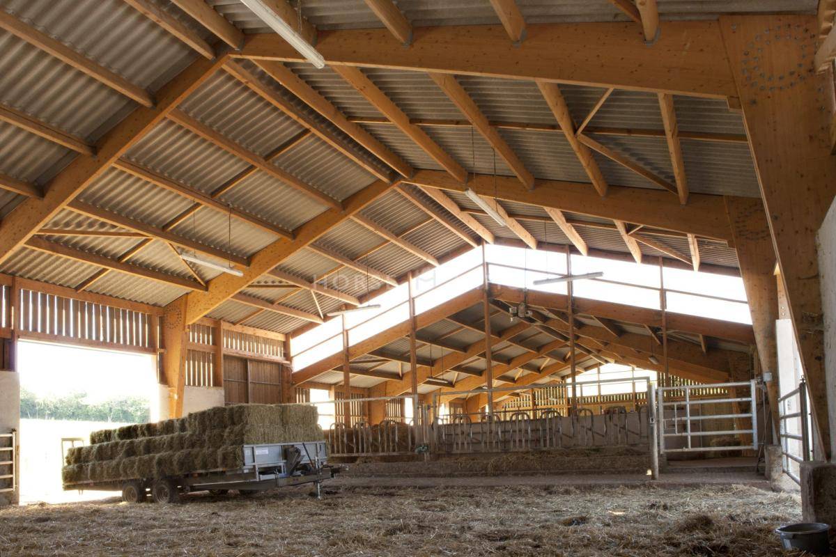 Centro di stagione cavallo In vendita tarn