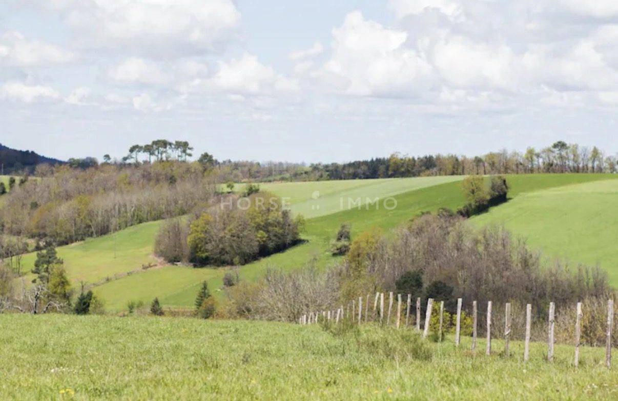 Centro di stagione cavallo In vendita tarn