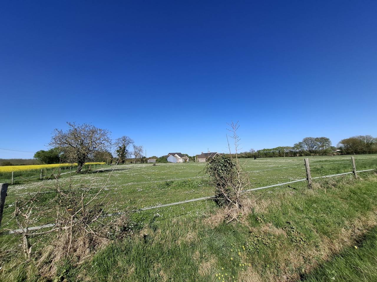 Propriet&agrave; equestre In vendita Maine-et-Loire