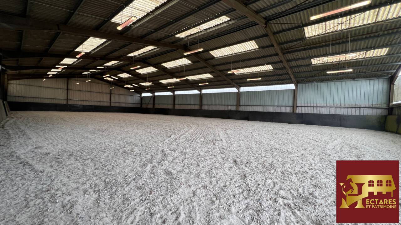 Propriet&agrave; equestre In vendita Pas-de-Calais
