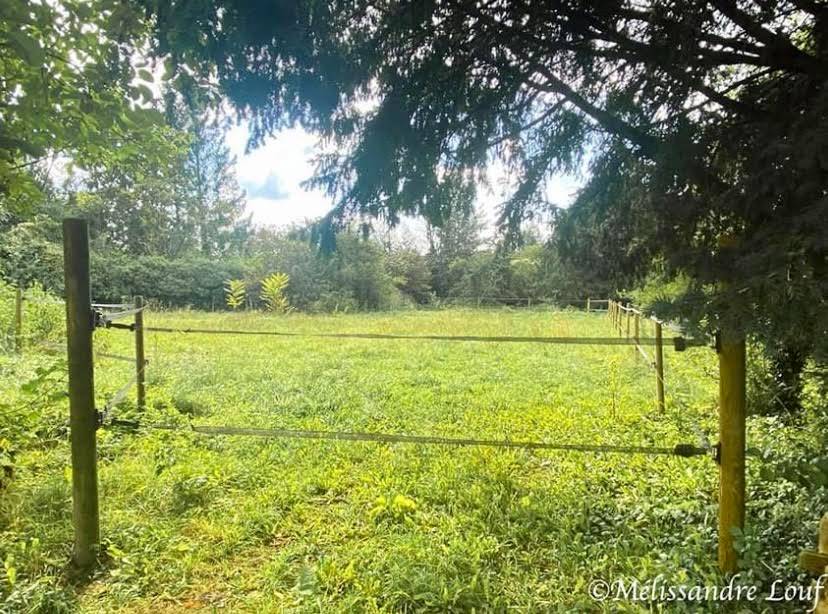 Propriet&agrave; equestre In vendita Seine-et-Marne