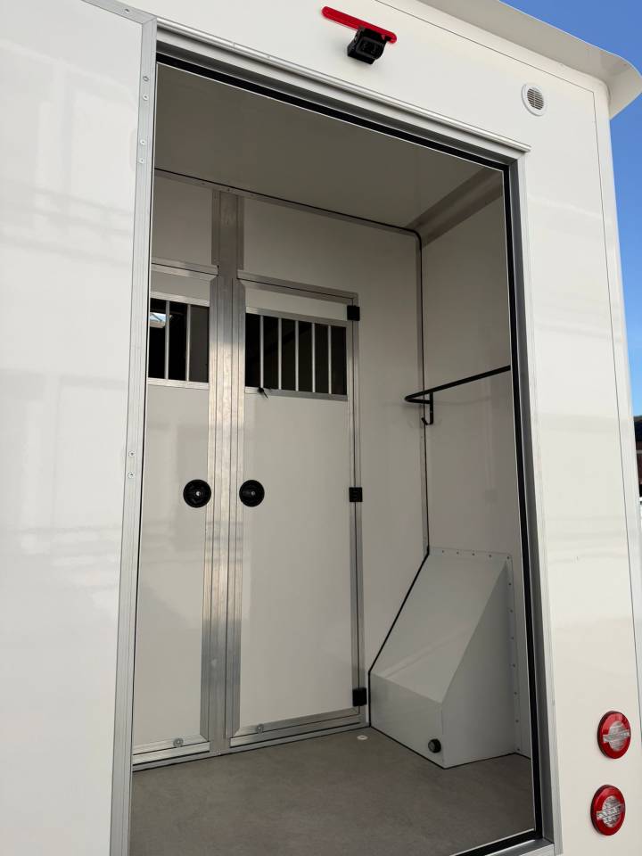 Van per Cavalli Renault  2020 Occasione