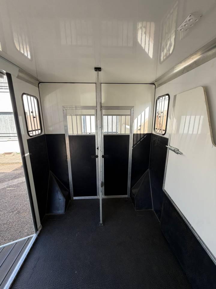 Van per Cavalli Renault  2020 Occasione