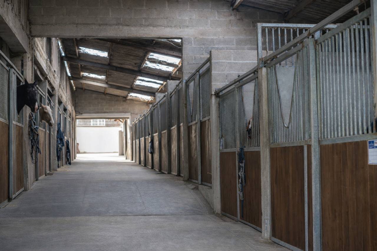 Propriet&agrave; equestre In vendita Ardennes