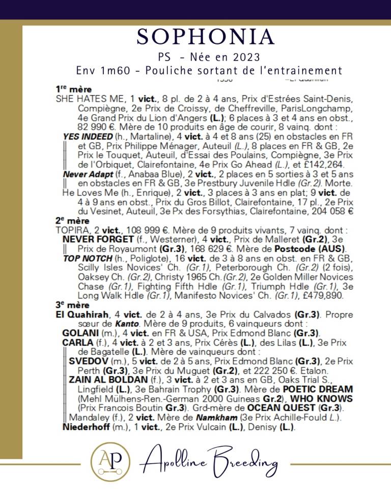 Fattrice Purosangue In vendita 2023 Baio ,  For fun