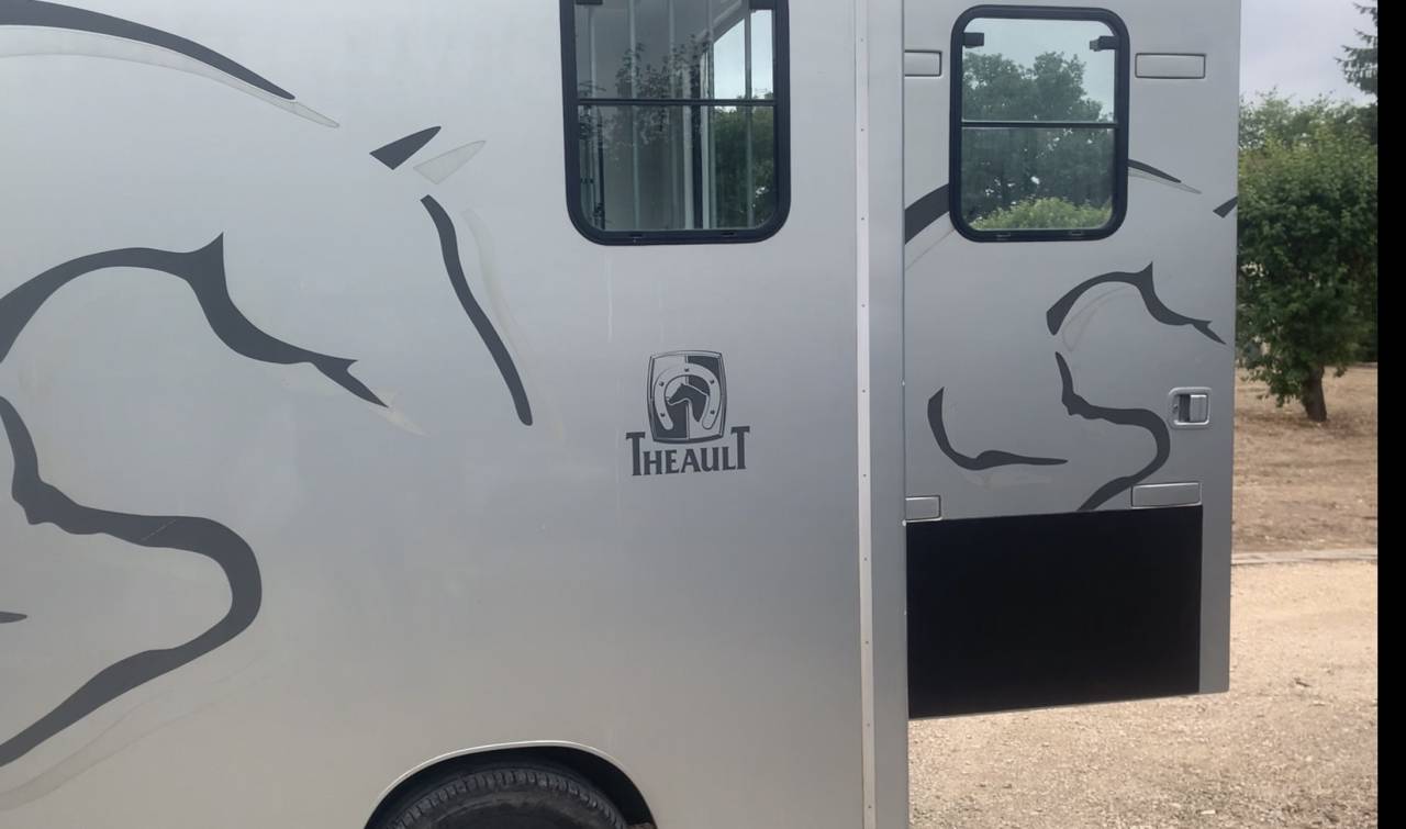 Van per Cavalli Theault  2007 Occasione