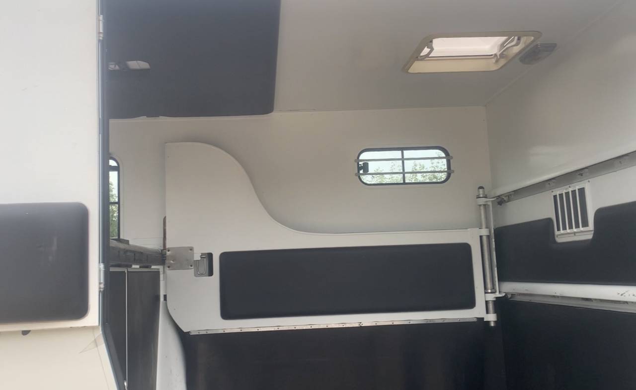 Van per Cavalli Theault  2007 Occasione