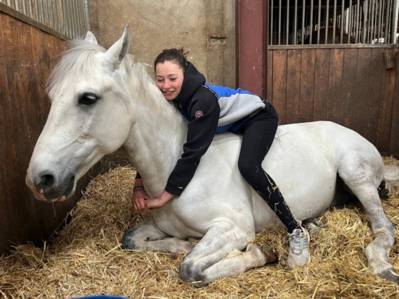 Castrone PFS Pony Francese da Sella In vendita 2017 Grigio