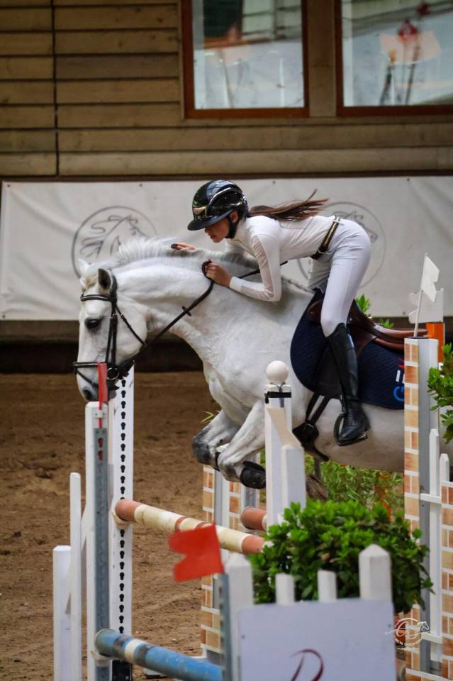 Castrone PFS Pony Francese da Sella In vendita 2017 Grigio