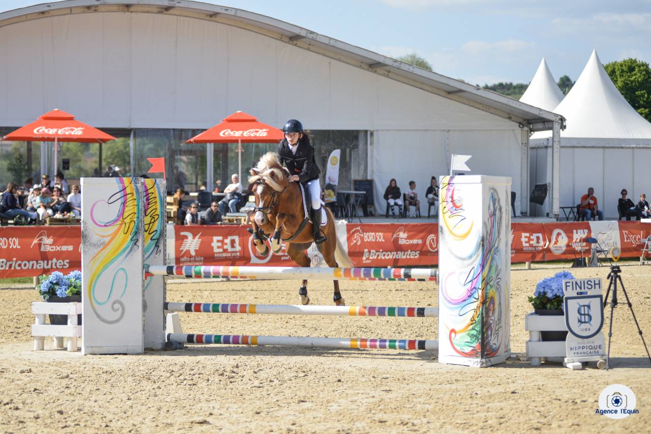 GOLBURY DES BERTAINES - Welsh Poney (Sezione B) 2016 ,  VINCE DIWAN