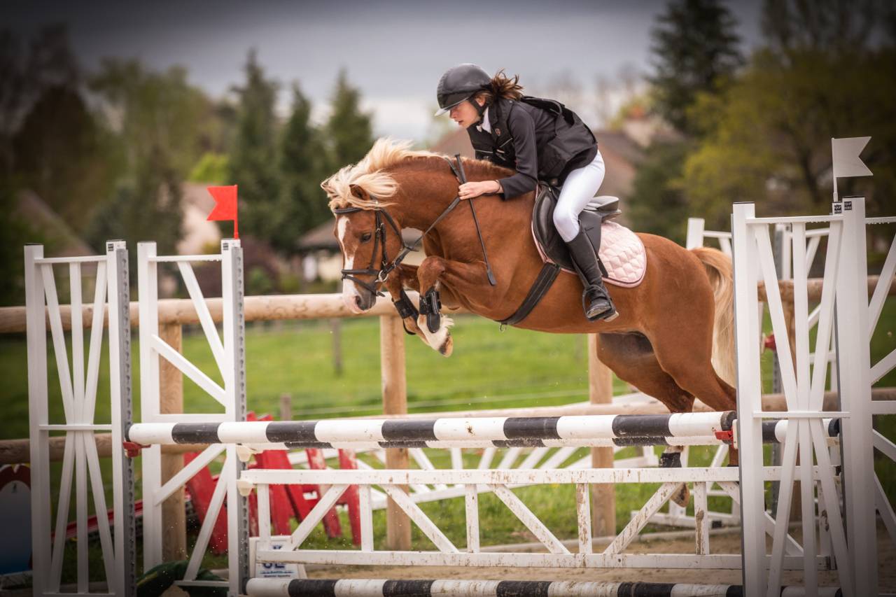 GOLBURY DES BERTAINES - Welsh Poney (Sezione B) 2016 ,  VINCE DIWAN