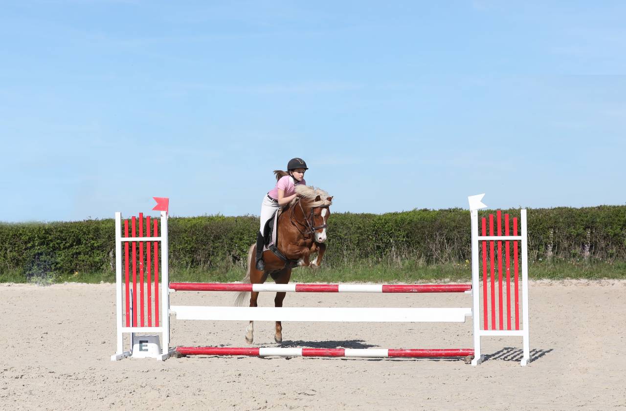 GOLBURY DES BERTAINES - Welsh Poney (Sezione B) 2016 ,  VINCE DIWAN