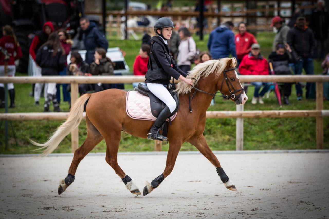 GOLBURY DES BERTAINES - Welsh Poney (Sezione B) 2016 ,  VINCE DIWAN