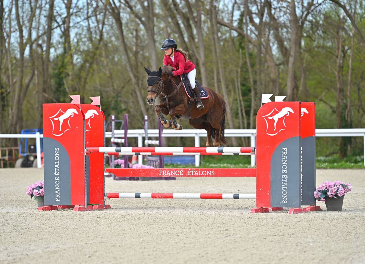 Castrone Origine non conosciuta  In vendita 2020 Sauro brul&eacute; ,  TORNADO DE L'ETAPE