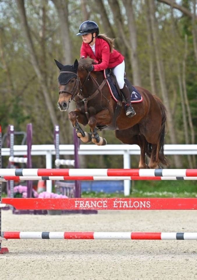 Castrone Origine non conosciuta  In vendita 2020 Sauro brul&eacute; ,  TORNADO DE L'ETAPE