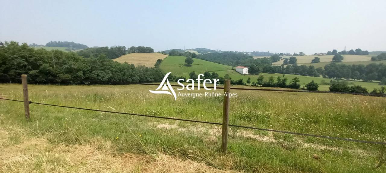 Azienda agricola In vendita Loire