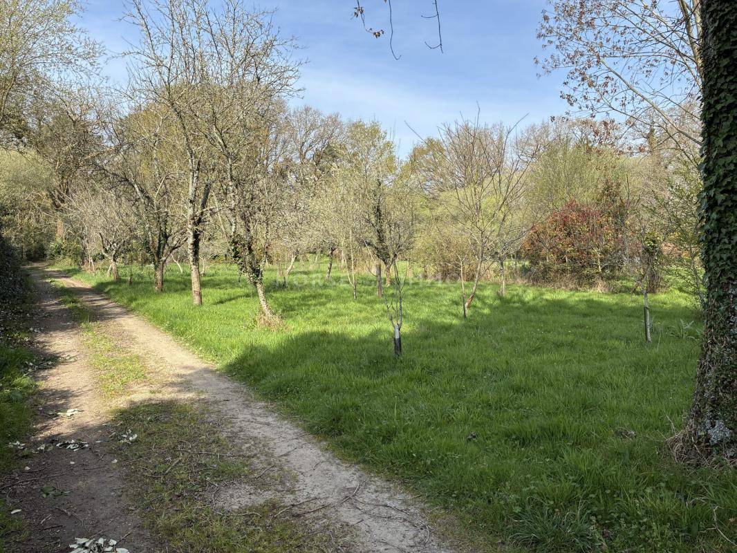 Propriet&agrave; equestre In vendita Morbihan