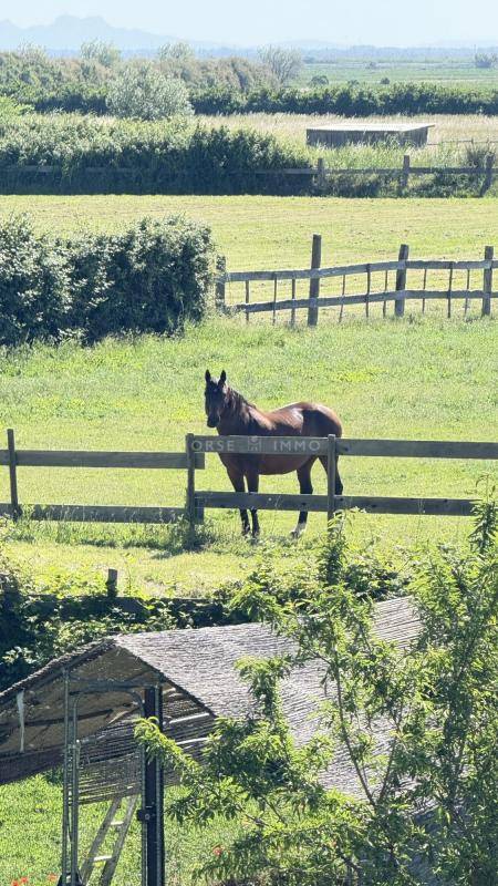 Propriet&agrave; equestre In vendita Bouches-du-Rh&ocirc;ne