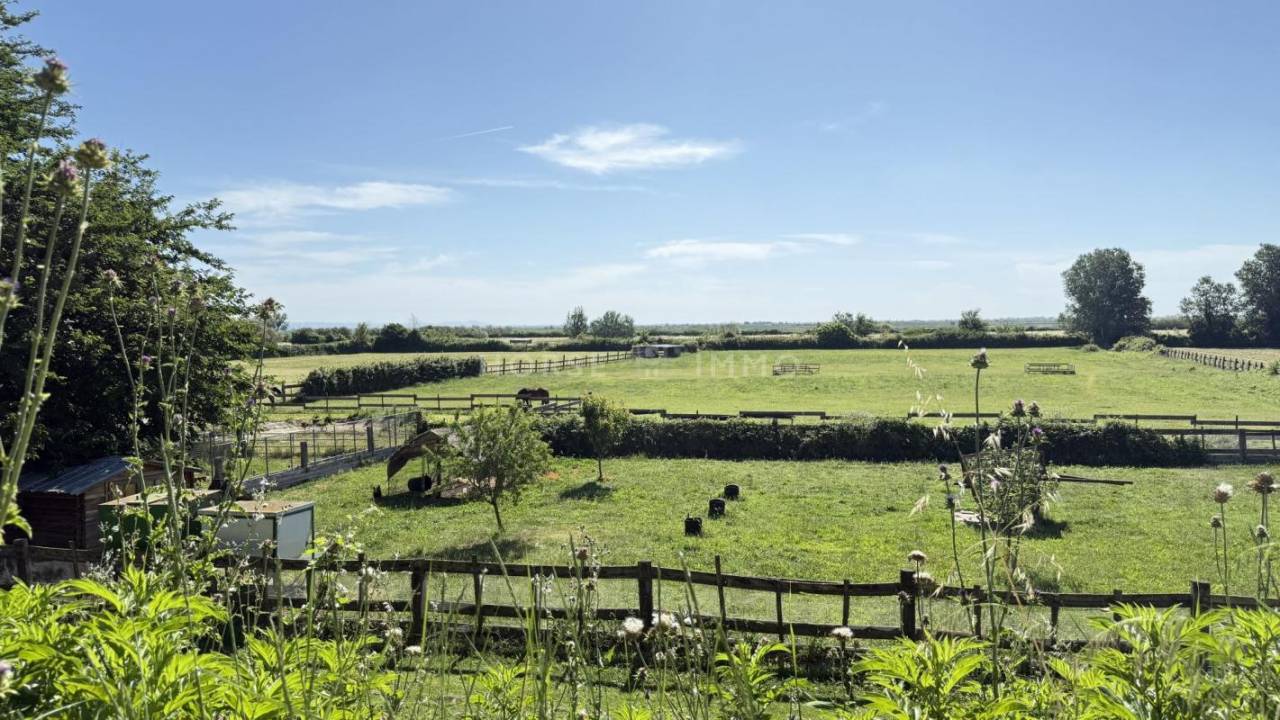 Propriet&agrave; equestre In vendita Bouches-du-Rh&ocirc;ne