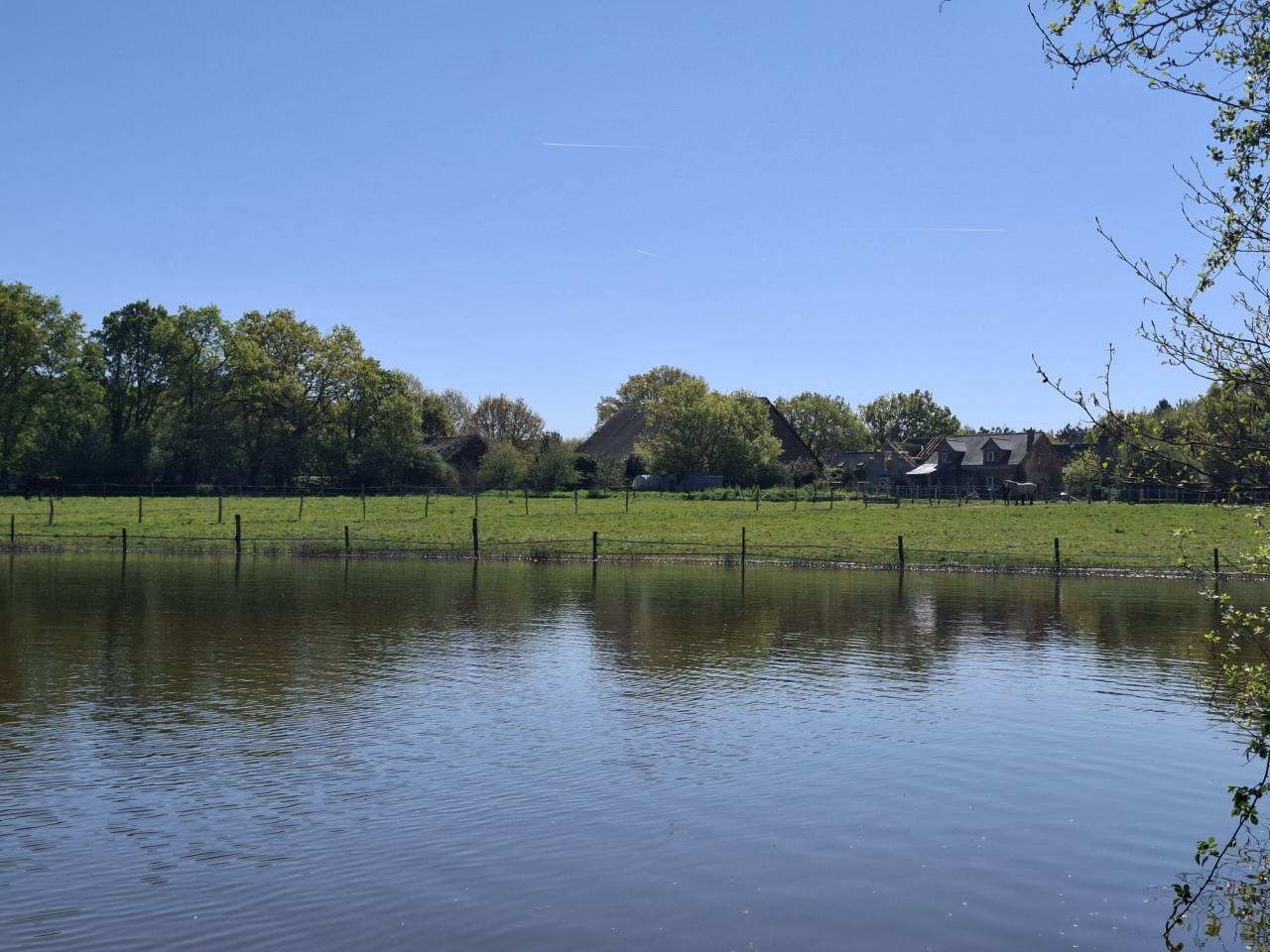 Alloggio equestre In vendita Loire-Atlantique