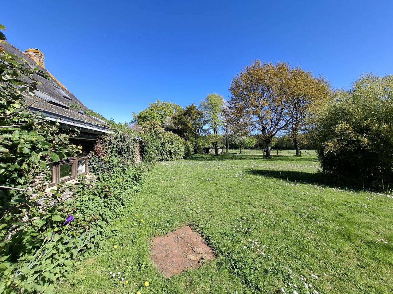 Alloggio equestre In vendita Loire-Atlantique