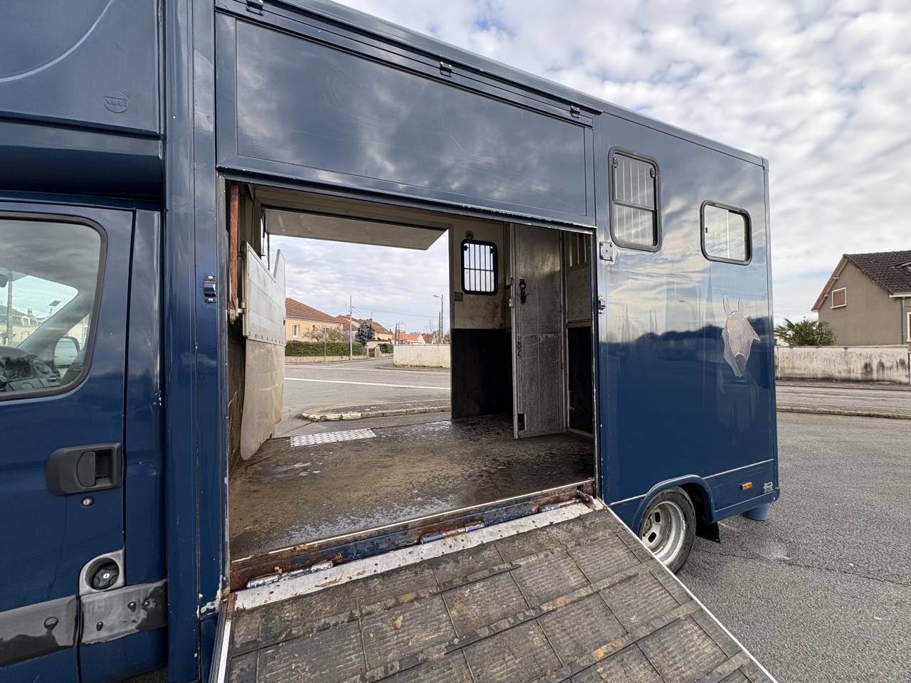 Van per Cavalli Iveco  2009 Occasione