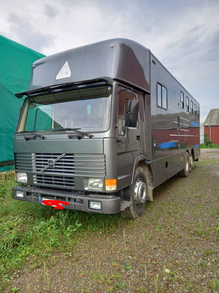 Camion per Cavalli Volvo FL 10 1989 Occasione