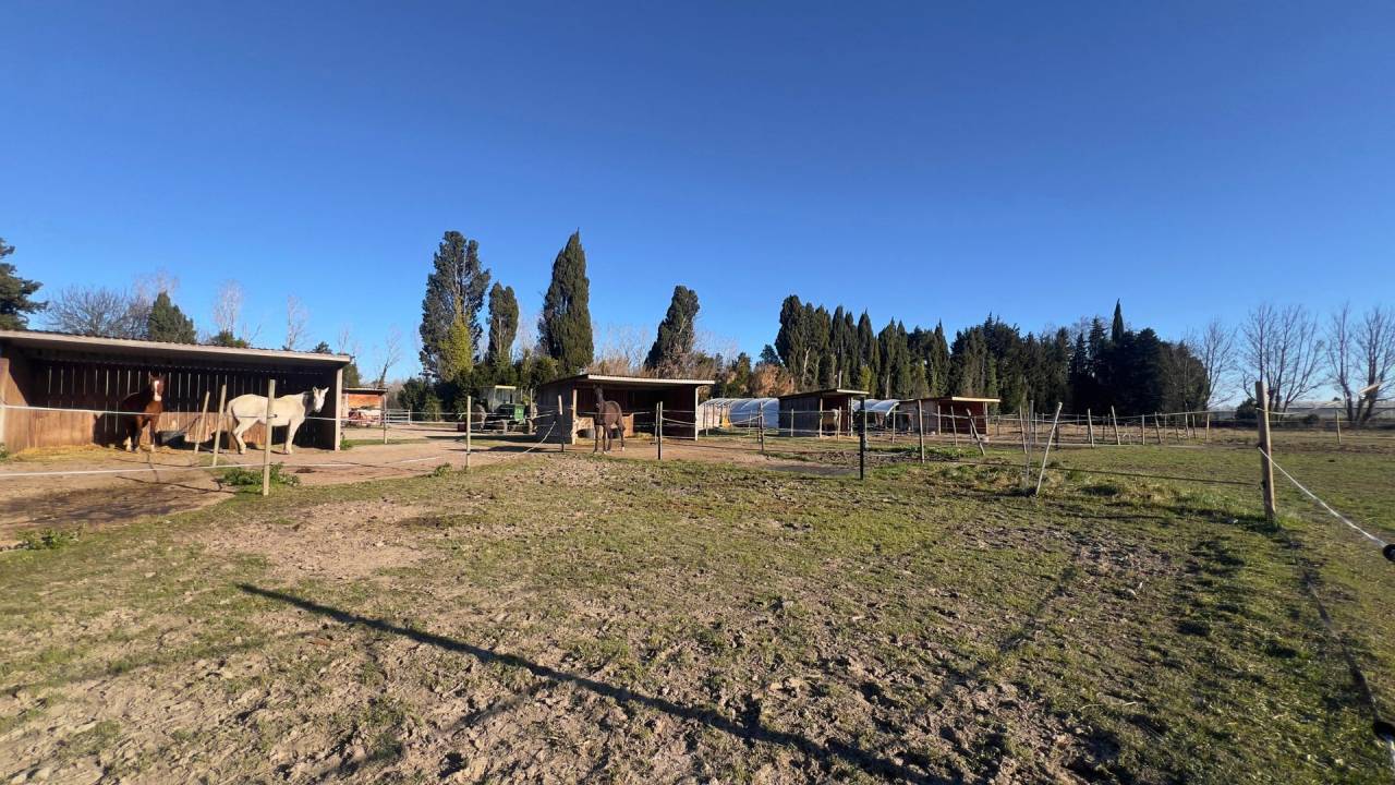 Propriet&agrave; equestre In vendita Bouches-du-Rh&ocirc;ne