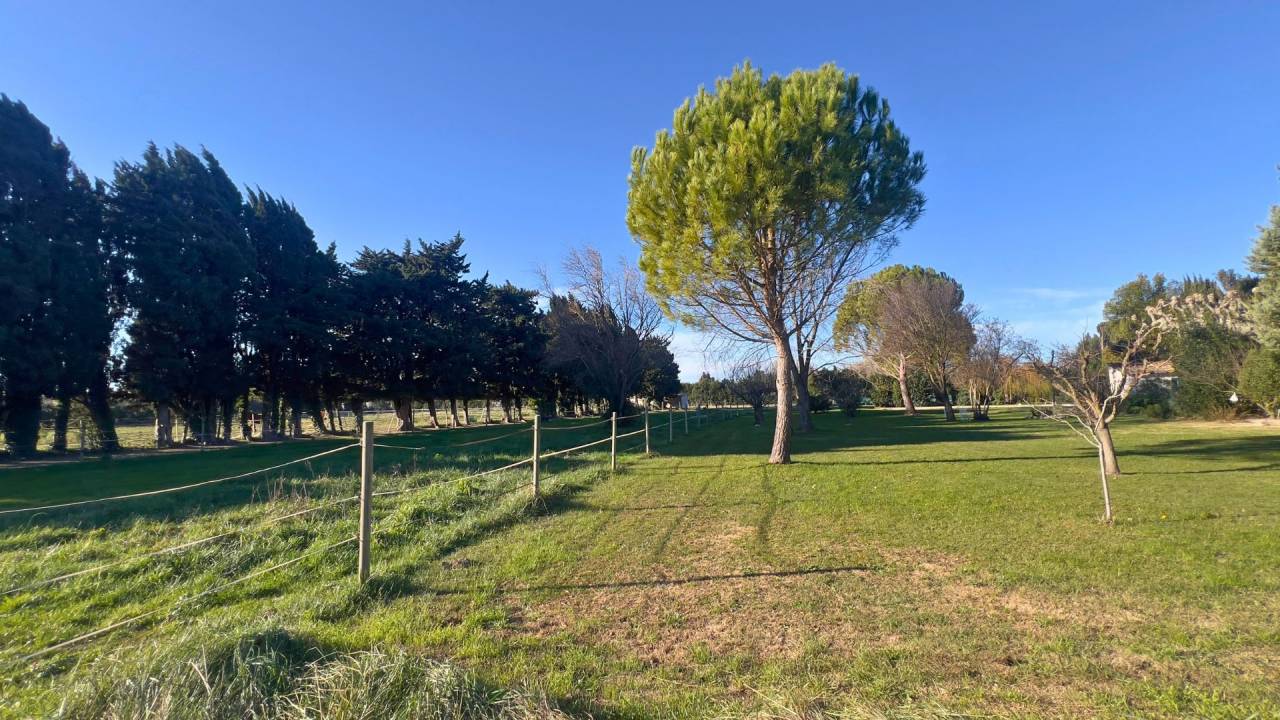 Propriet&agrave; equestre In vendita Bouches-du-Rh&ocirc;ne