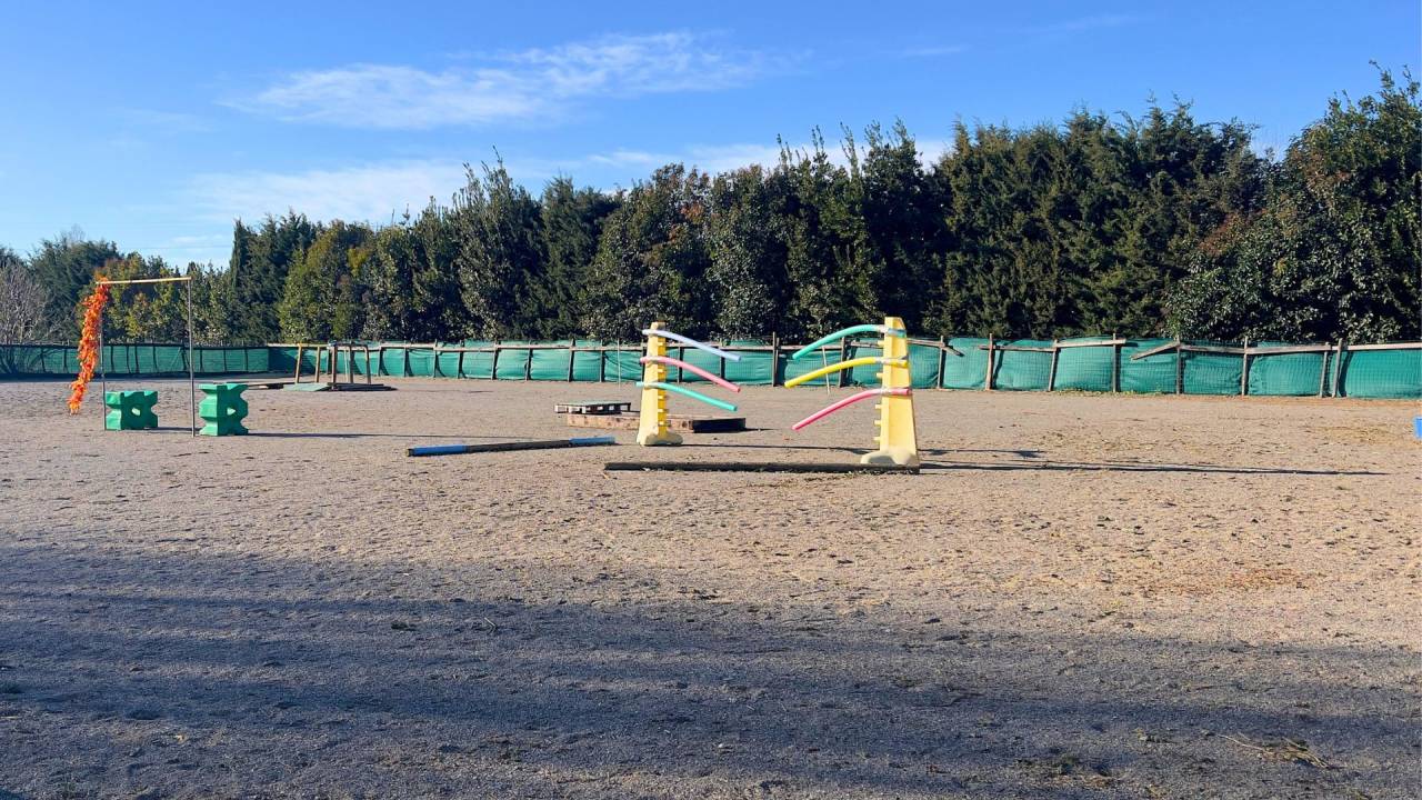 Propriet&agrave; equestre In vendita Bouches-du-Rh&ocirc;ne