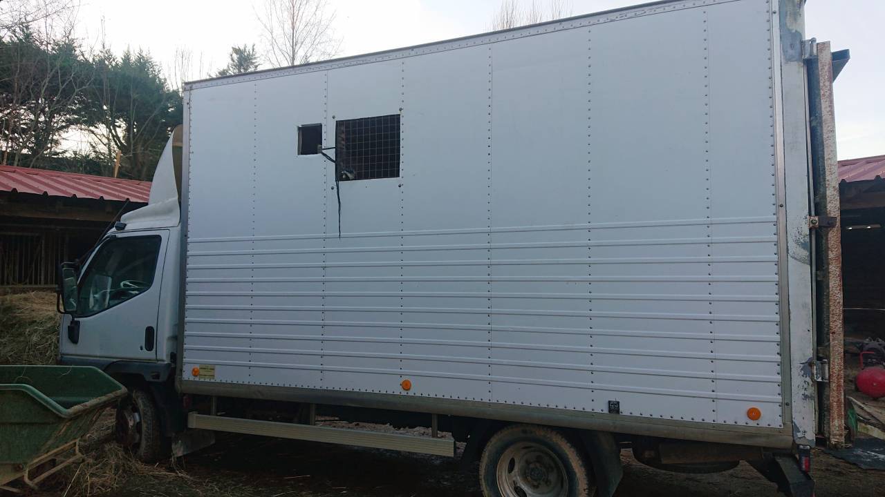 Van per Cavalli Mitsubishi canter 1999 Occasione