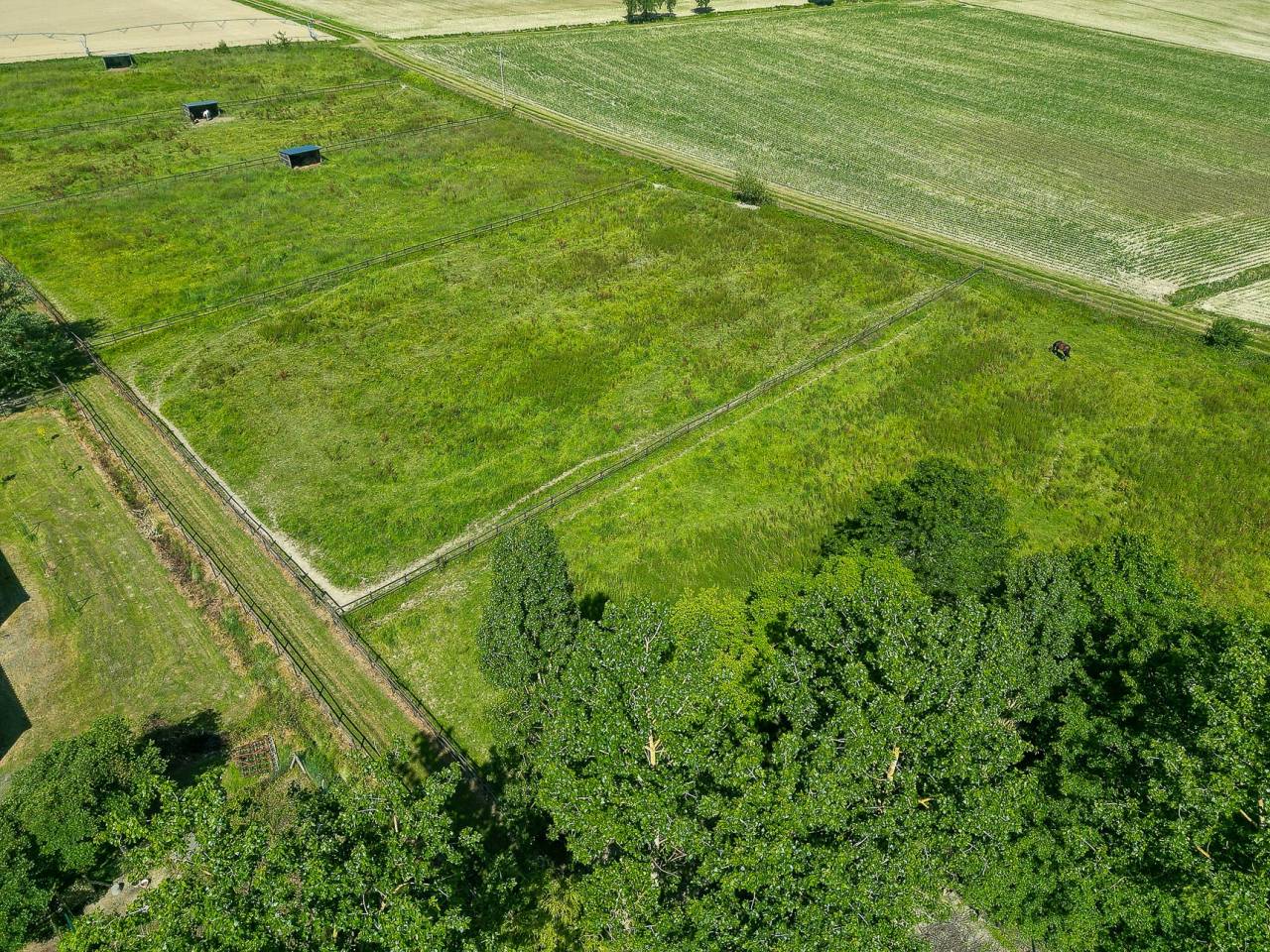 Scuderia per proprietari In vendita Hautes-Pyr&eacute;n&eacute;es