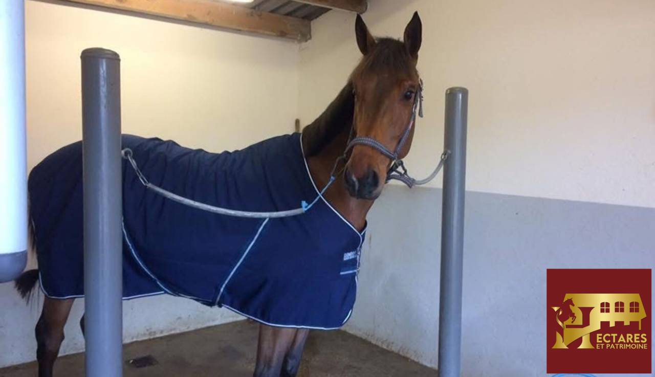 Scuderia per proprietari In vendita Is&egrave;re