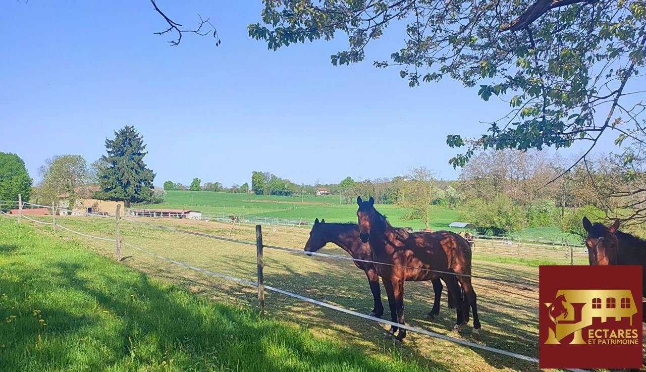 Scuderia per proprietari In vendita Is&egrave;re