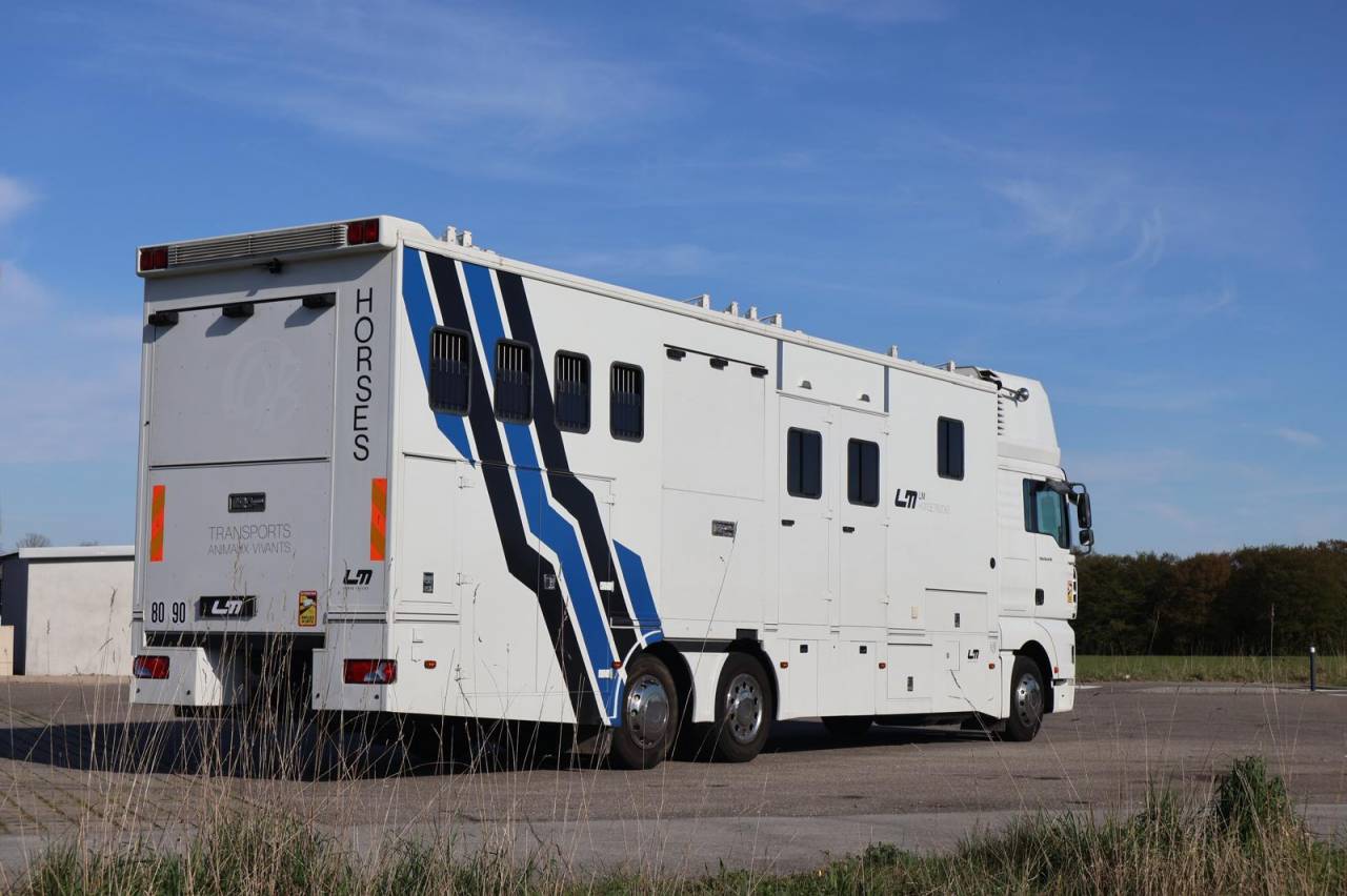 Camion per Cavalli Man MAN TGA 26.430 JL POP OUT 2006 Occasione