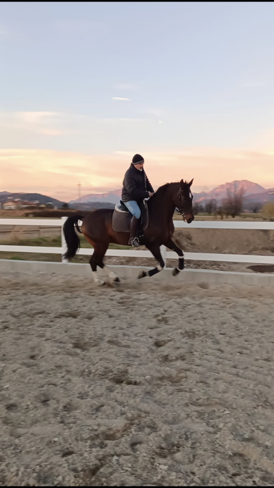 Pensione Cavalli - fide e mezzefide