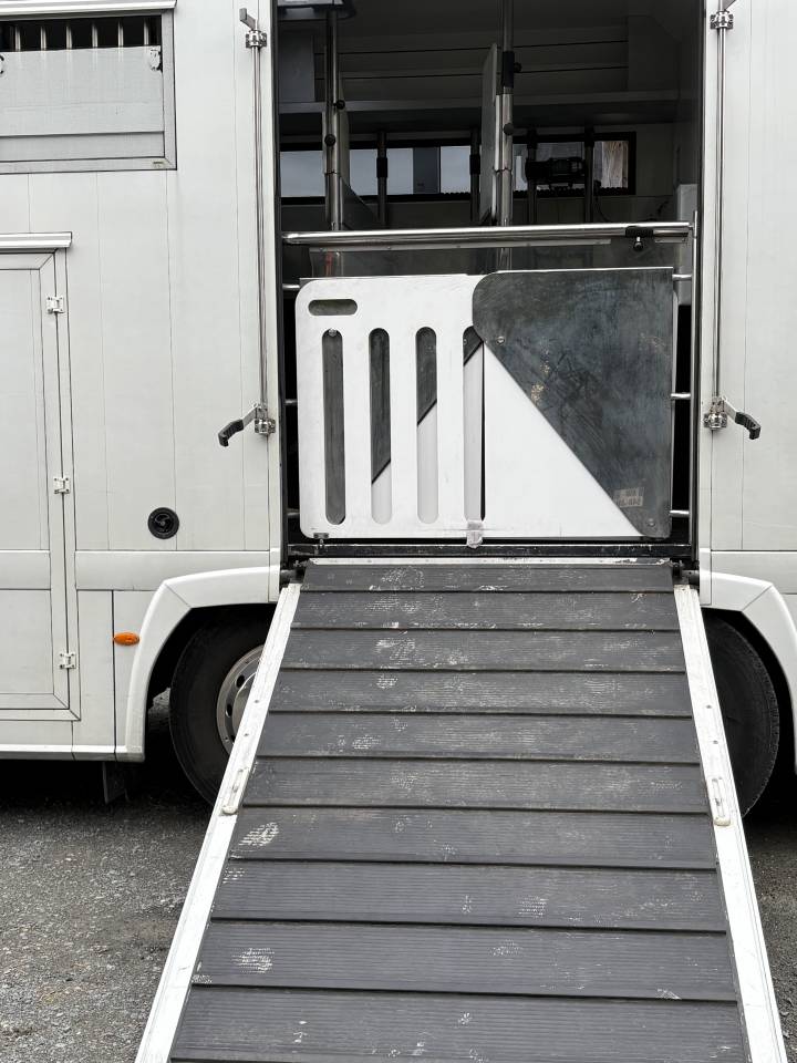 Camion per Cavalli Renault MAGNUM STX 2011 Occasione