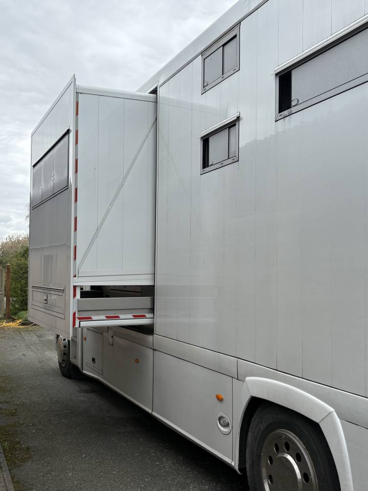 Camion per Cavalli Renault MAGNUM STX 2011 Occasione