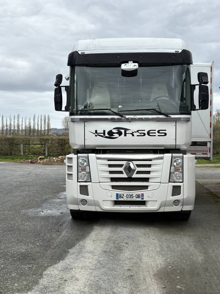 Camion per Cavalli Renault MAGNUM STX 2011 Occasione