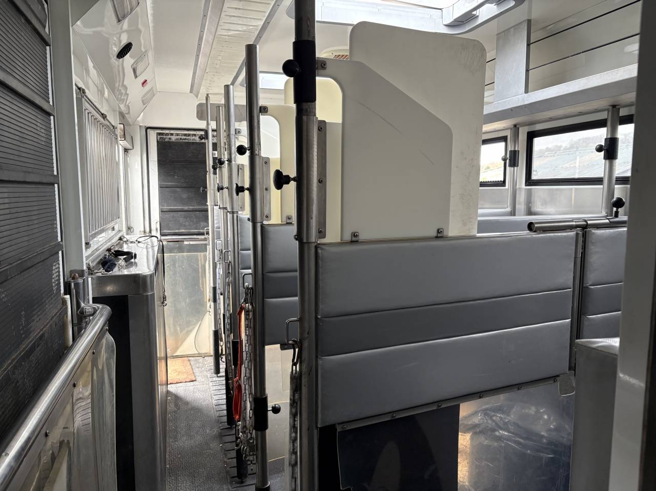 Camion per Cavalli Renault MAGNUM STX 2011 Occasione