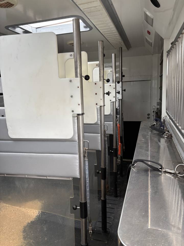 Camion per Cavalli Renault MAGNUM STX 2011 Occasione