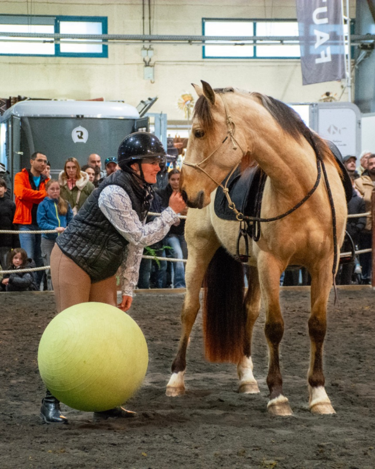 Castrone PRE Andaluso In vendita 2021 Isabella