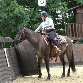 Cavalla Quarter Horse In vendita 2020 Grullo ,  JAZ GC DE PLATA